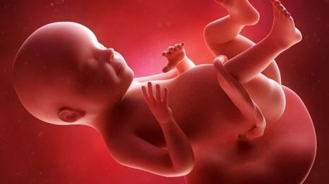 Ethicists approve ‘3 parent’ embryos to stop diseases, but congressional ban remains | Genetic Engineering in the Press by GEG | Scoop.it