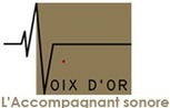 Voix d’Or, des programmes d’accompagnement sonore destinés aux personnes âgées, dépendantes, ou atteintes de la maladie d’Alzheimer. | UseNum - Senior | Scoop.it
