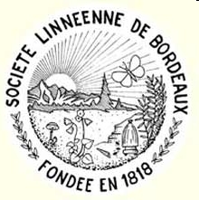 Soci&eacute;t&eacute; linn&eacute;enne de Bordeaux - Section entomologie | EntomoNews | Scoop.it