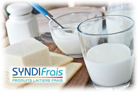 Le marché des produits laitiers frais solide et résilient en 2023 | Lait de Normandie... et d'ailleurs | Scoop.it