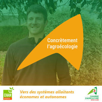 Vers des syst&egrave;mes allaitants &eacute;conomes et autonomes - Chambres d'agriculture | Pour innover en agriculture | Scoop.it