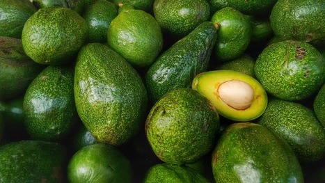 Ces aliments dont le succès est une menace pour l’environnement | Vers la transition des territoires ! | Scoop.it