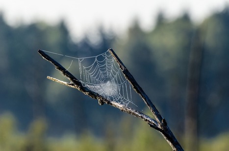 ¿Qué es el sentimiento de culpa? ¿Y la responsabilidad? | Educación, TIC y ecología | Scoop.it