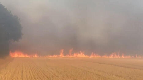 Firefighters respond to large grass fires in east London | UK Video News - Sky News | Operation Deimos | Scoop.it