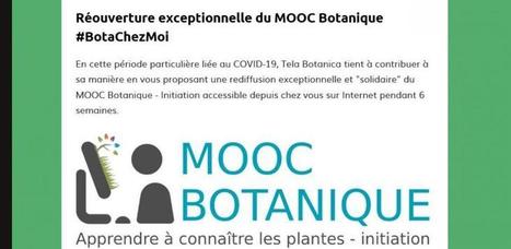 Marc-André Selosse annonce la réouverture exceptionnelle du MOOC Botanique | Académie d'Agriculture de France | Variétés entomologiques | Scoop.it