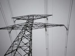 Ligne électrique très haute tension en Camargue : 5 espèces d'oiseaux menacées, cette note interne qui fragilise le projet | Biodiversité, Écologie et Environnement | Scoop.it