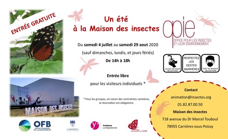 Pour sa réouverture, la Maison des insectes de l'OPIE accueillera le public tout l’été et gratuitement | Variétés entomologiques | Scoop.it