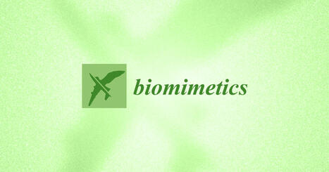 Design and Aerodynamic Analysis of a Flapping Mechanism for Foldable Biomimetic Aircraft | Biomimicry 3.8 | Scoop.it