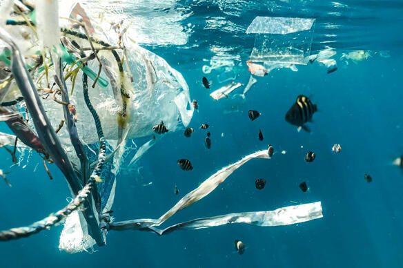 Économie circulaire : des chercheurs lancent un « appel solennel aux décideurs »
