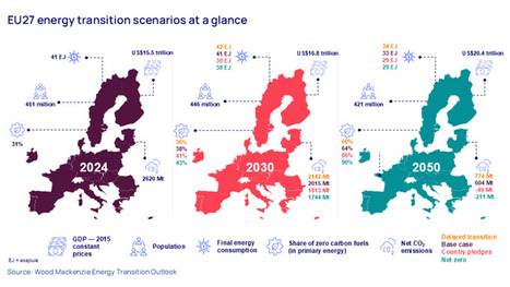 Wood Mackenzie's Energy transition outlook: EU | Contexto energético general | Scoop.it