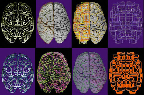Neuroscientists launch resource aimed at breaking data barriers in brain research | Neuroscientist News | Data Science and Computational Thinking [inc Big Data and Internet of Things] | Scoop.it