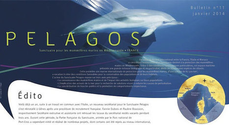 Bulletin PELAGOS 2014 - La nouvelle édition du bulletin de liaison annuel est sortie ! | Biodiversité | Scoop.it