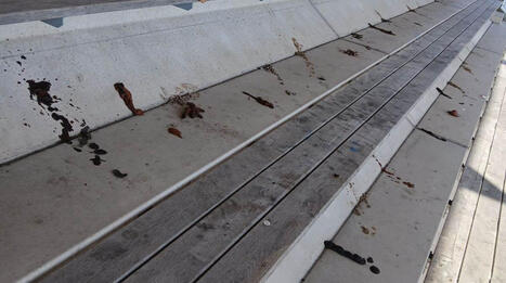 Bajsmannen har slagit till i J&ouml;nk&ouml;ping | 1Uutiset - Lukemisen t&auml;hden | Scoop.it