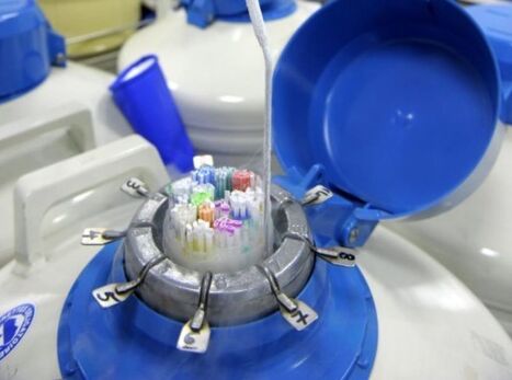 Ins&eacute;mination post-mortem&nbsp;: un petit pas vers une &eacute;volution de la loi&nbsp;? | Bio&eacute;thique & Procr&eacute;ation | Scoop.it