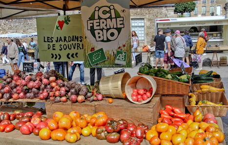 Budget 2026 : L’agriculture biologique entendue… Les sénateurs votent un crédit d’impôt | Revue de presse économique du Sud Touraine | Scoop.it