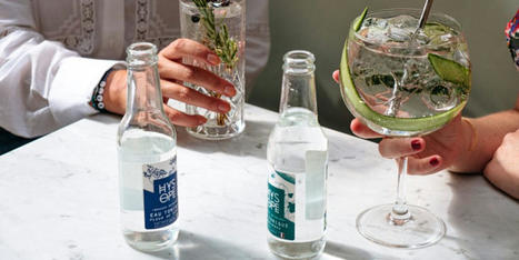 HYSOPE, LA marque bordelaise de Tonics & Gingers Beer premium, l&egrave;ve 1,6M d&rsquo;euros | Start-ups | Success stories | Scoop.it