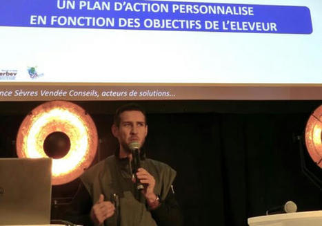 Démarches bas carbone en bovins viande : gagner sur plusieurs fronts | Actualité Bétail | Scoop.it