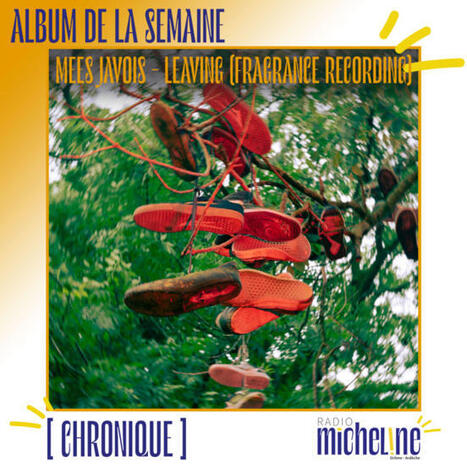 Radio Micheline - Mees Javois, album de la semaine - 27.05.2025 | Nuits sonores 2025 - Revue de presse | Scoop.it