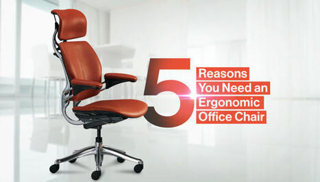 5 Reasons You Need an Ergonomic Office Chair | Best  Healthy Living Scoops | Scoop.it