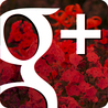 GooglePlus Expertise