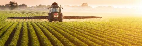 Pesticides: pilot assessments on cumulative risk near to completion | Phytosanitaires et pesticides | Scoop.it