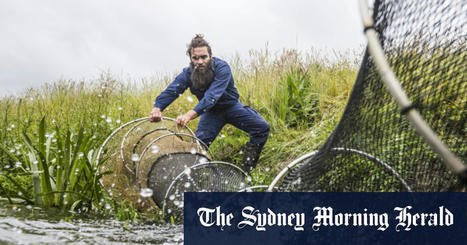 Budget 2022: Indigenous Australian rangers program given with $636 million boost | K-12 Aboriginal and Torres Strait Islander histories and cultures | Scoop.it