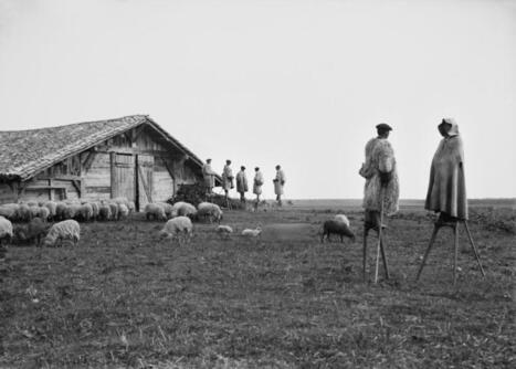 Vacances dans les Landes&nbsp;: Maison de la photographie, &eacute;comus&eacute;e de Marqu&egrave;ze&hellip; sur les traces de F&eacute;lix Arnaudin, m&eacute;moire des paysages de la Grande Lande d&rsquo;antan | Landes | Scoop.it