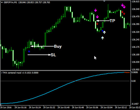 Profitable Forex Signals Scoop It - 