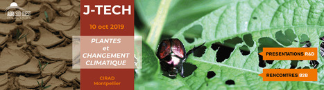 [Journée d'études] JTECH - Plantes et adaptation au changement climatique | SCIENCES DU VEGETAL | Scoop.it