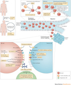 Therapeutic approaches to enhance natural killer cell cytotoxicity against cancer: the force awakens : Nature Reviews Drug Discovery : Nature Publishing Group | Immunology and Biotherapies | Scoop.it
