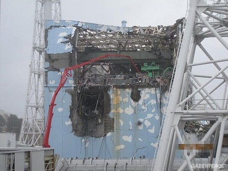 Fukushima : contamination marine et silence du gouvernement | Contenu pour mon Blog | Scoop.it