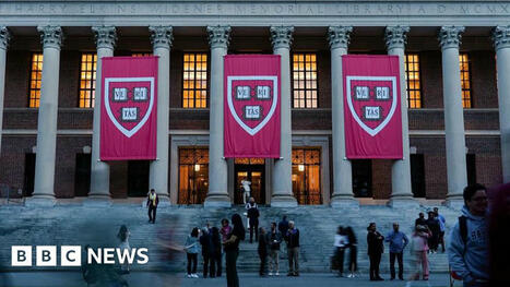 Students say they 'regret' applying to US schools after visa changes | The Student Voice | Scoop.it