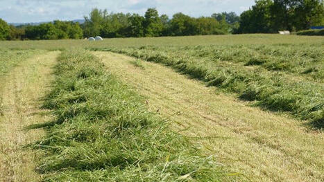 Comparaison des coûts de récolte d'herbe en ensilage, enrubannage et foin | Actualités de l'élevage | Scoop.it