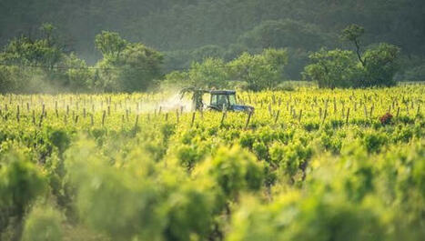 Du TFA, un polluant éternel, détecté dans des bouteilles de vin en Europe à des niveaux record | Planète DDurable | Scoop.it