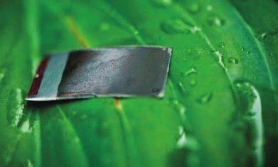 'Artificial leaf' gains the ability to self-heal damage and produce energy from dirty water | Cool Future Technologies | Scoop.it