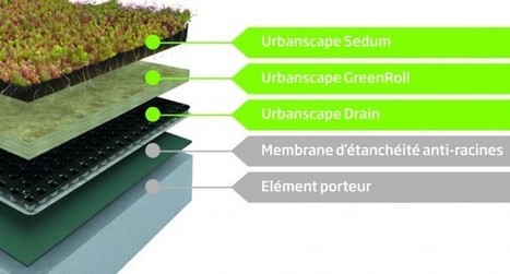 Knauf Insulation lance Urbanscape GreenRoof | Build Green, pour un habitat écologique | Scoop.it