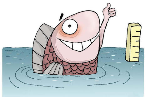 ​Biodiversit&eacute;. Dans le delta du Gange, la naissance d&rsquo;un &eacute;cosyst&egrave;me | EntomoNews | Scoop.it