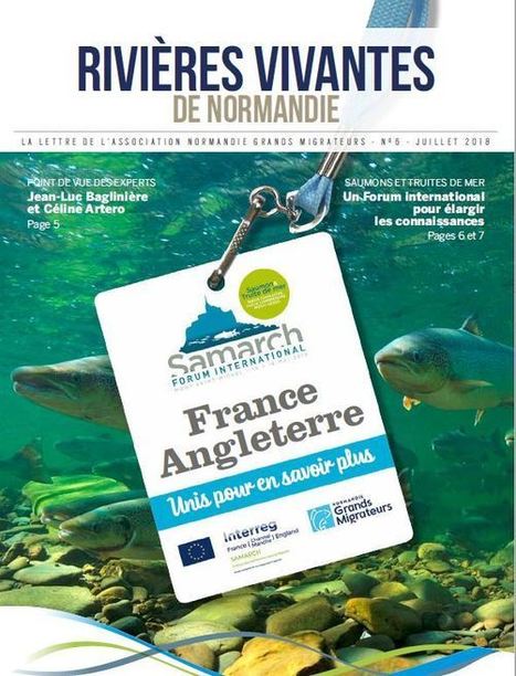 Normandie Grands Migrateurs - Journal n°6 - 31 juillet 2018 | Biodiversité | Scoop.it