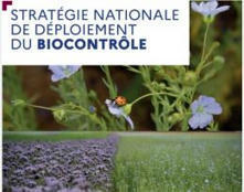 Strat&eacute;gie nationale de d&eacute;ploiement du biocontr&ocirc;le - Ecophytopic | Pour innover en agriculture | Scoop.it