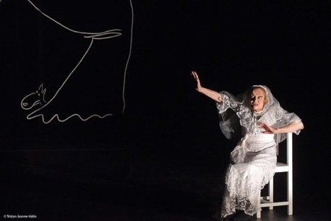 « La Journée d’une rêveuse [et autres moments] », de Pierre Maillet, Les Célestins à Lyon | Revue de presse théâtre | Scoop.it
