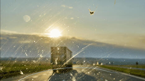 Compter les insectes sur sa voiture via l'application "Bugs Matter" : un programme participatif pour mesurer leur d&eacute;clin &ndash; | Biodiversit&eacute; - @ZEHUB on Twitter | Scoop.it