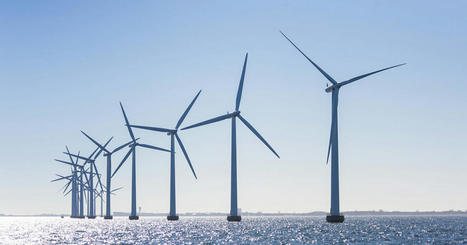 Usbek & Rica - "L'éolien offshore n'est pas un fléau pour l'environnement marin" | Energies renouvelables | Scoop.it