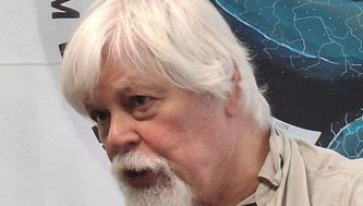 Paul Watson : 65 ans de combat pour la préservation de la vie marine - ici | Landes - Conseils municipaux & communautaires | Scoop.it
