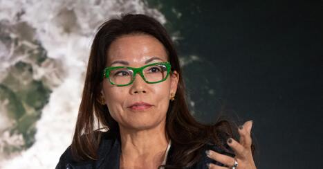 How Ann Lee-Jeffs is fighting to ensure women don&rsquo;t lose ground in sustainability shakeup | Gouvernance - Veille quotidienne | Scoop.it