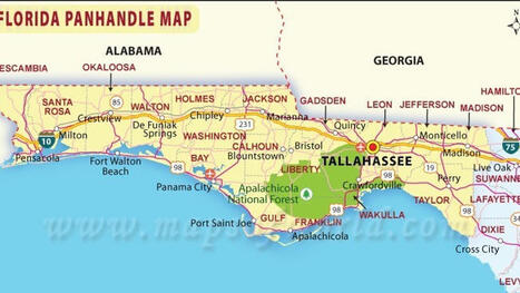 First-Mover Advantage Isn't a Gimmick: A Lesson from the Early Days of Robotic Surgery | Christopher Prentice | ROBOTIC SURGERY | Scoop.it