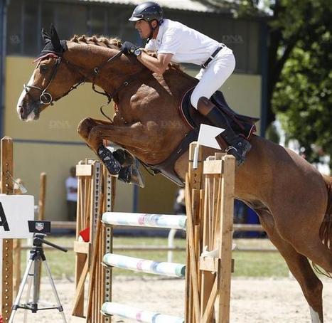 Equitation | Le vent en poupe | Cheval et sport | Scoop.it