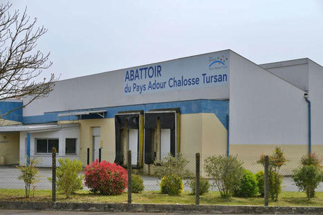 Hagetmau : la commune a vendu l’abattoir au PETR Adour Chalosse Tursan | La Gazette des abattoirs | Scoop.it