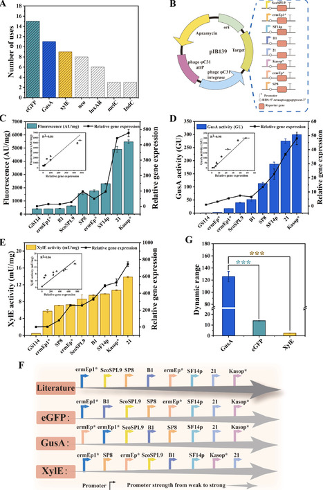 Construction of a library of gene expression elements in industrial Streptomyces and its application | ssb | RMH | Scoop.it