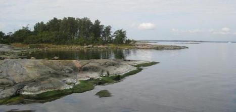 Meret - Ilmatieteen laitos | 1Uutiset - Lukemisen tähden | Scoop.it