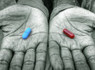 Beyond the Matrix -- A Buddhist Approach | Empathy Movement Magazine | Scoop.it